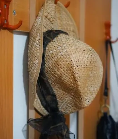 Meri's Shkodra